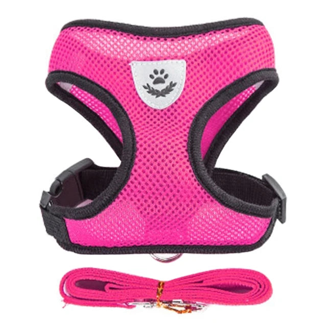 Cat Harness Vest For Small Medium Pet Accessories