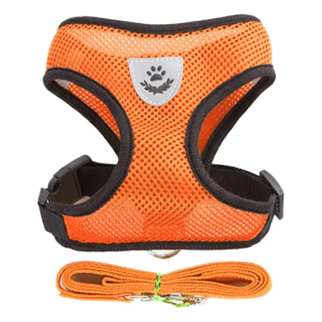Cat Harness Vest For Small Medium Pet Accessories