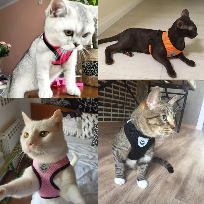 Cat Harness Vest For Small Medium Pet Accessories
