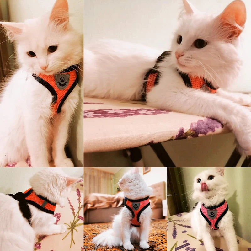 Cat Harness Vest For Small Medium Pet Accessories