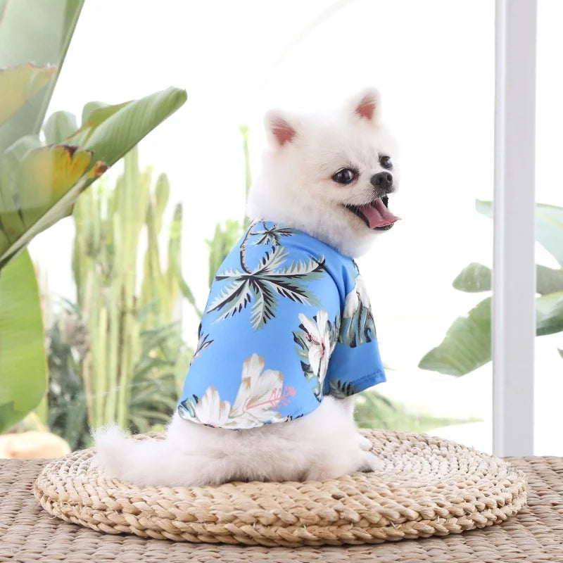 Small and medium-sized dog summer clothing