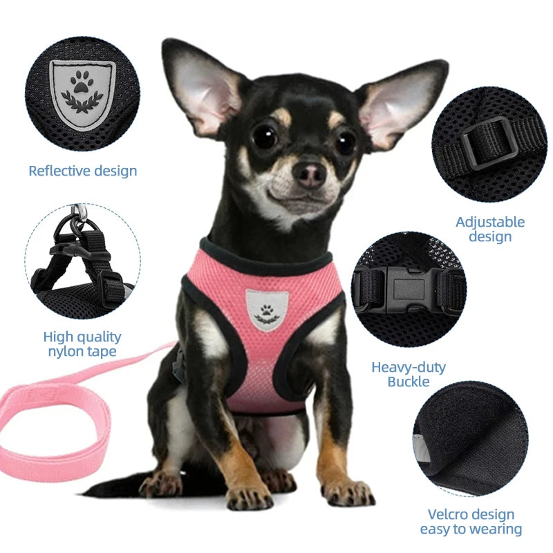 Cat Harness Vest For Small Medium Pet Accessories
