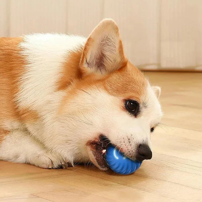 Smart Dog Toy Ball Electronic Interactive Pet Toy