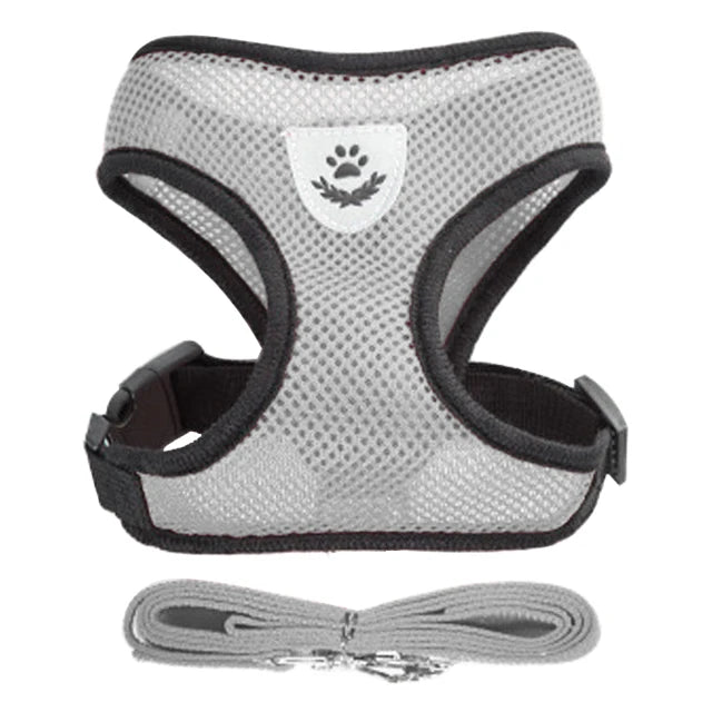 Cat Harness Vest For Small Medium Pet Accessories