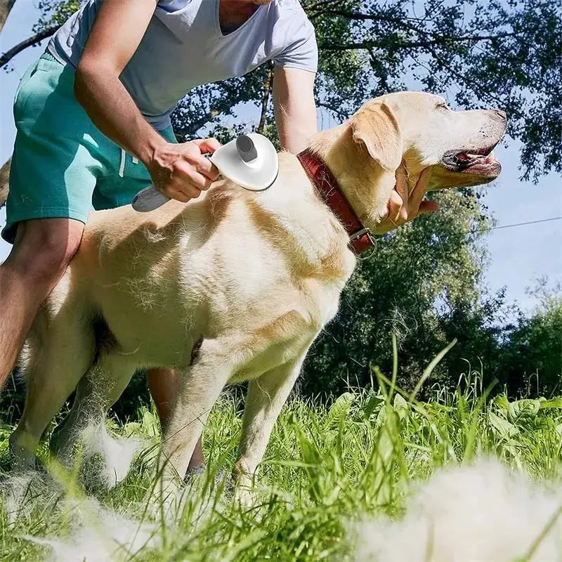 Self- Cleaning Pet Hair Remover Brush for Dogs and Cats G