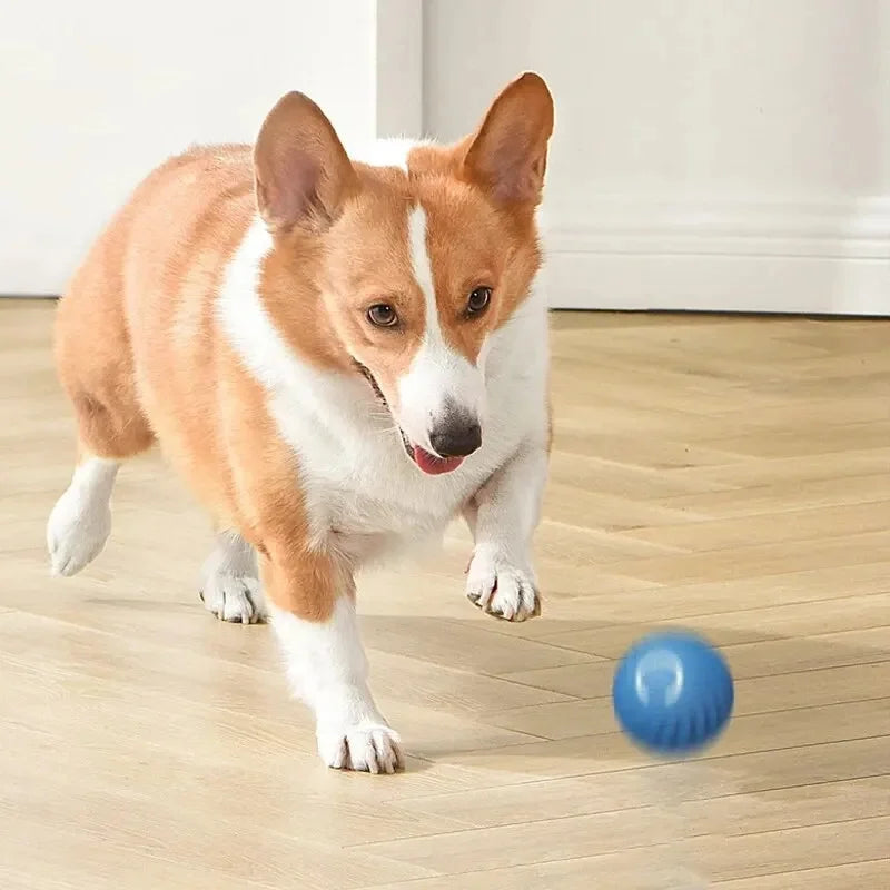 Smart Dog Toy Ball Electronic Interactive Pet Toy