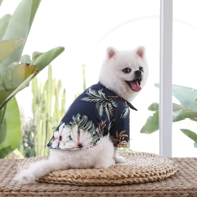 Small and medium-sized dog summer clothing