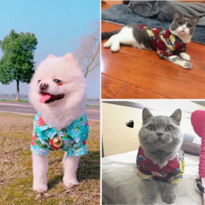 Small and medium-sized dog summer clothing