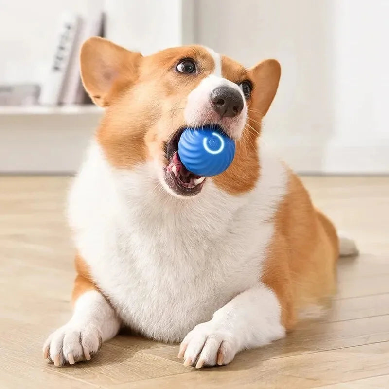 Smart Dog Toy Ball Electronic Interactive Pet Toy