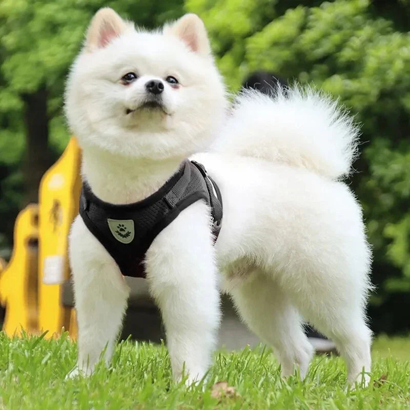 Dog Chest Strap Breathable Mesh Traction Rope