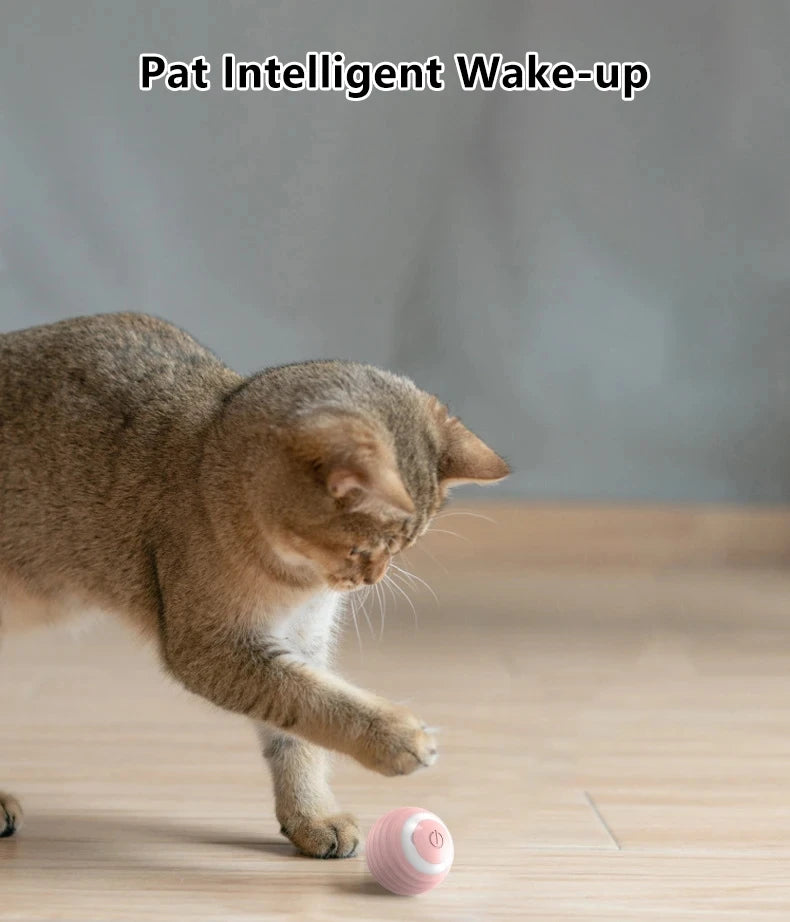 Interactive Cat Smart Ball Toy with USB Charging