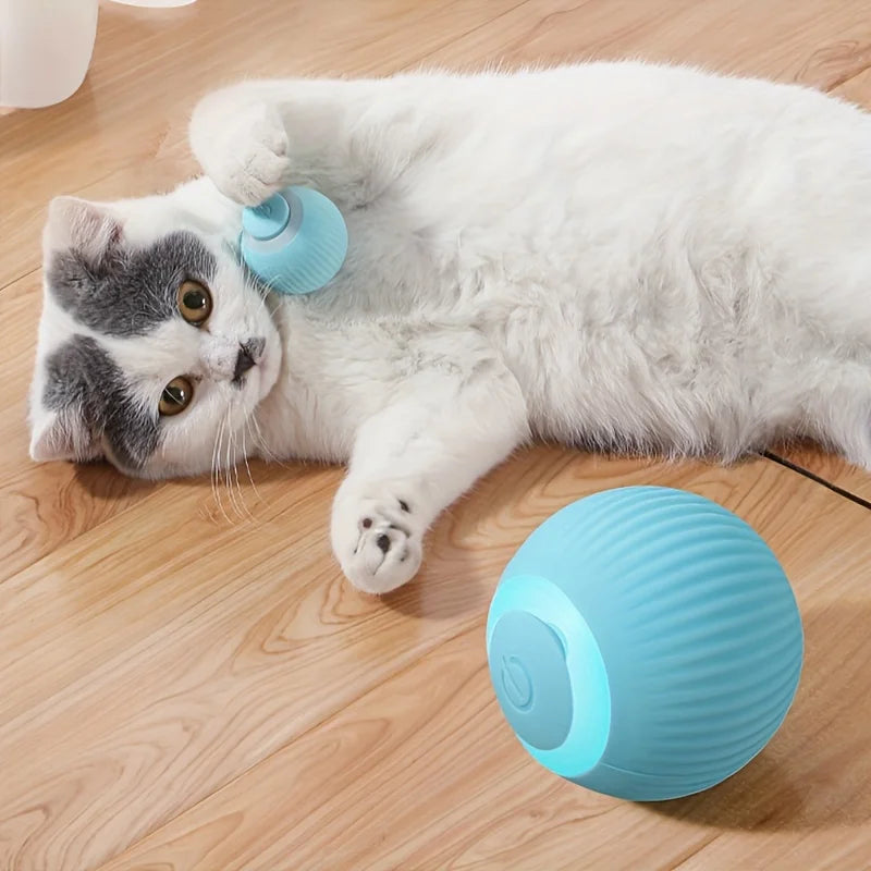 Interactive Cat Smart Ball Toy with USB Charging