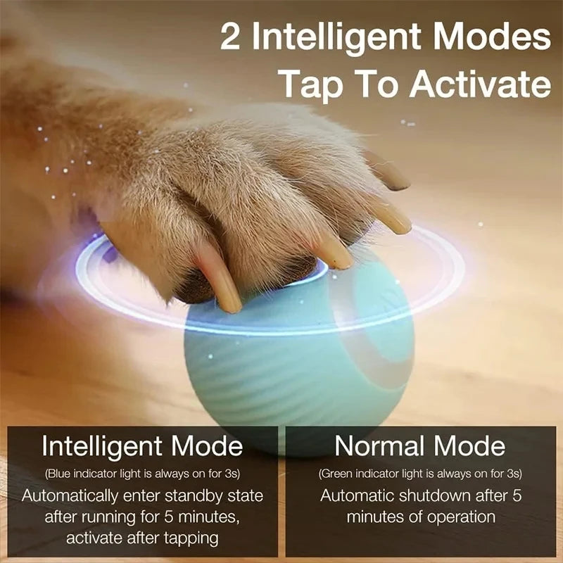 Interactive Cat Smart Ball Toy with USB Charging